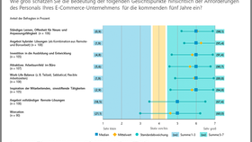 Anforderungen des Personals im E-Commerce in den kommenden fünf Jahren (2023-2028)